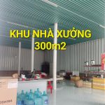  4000m2 - 6