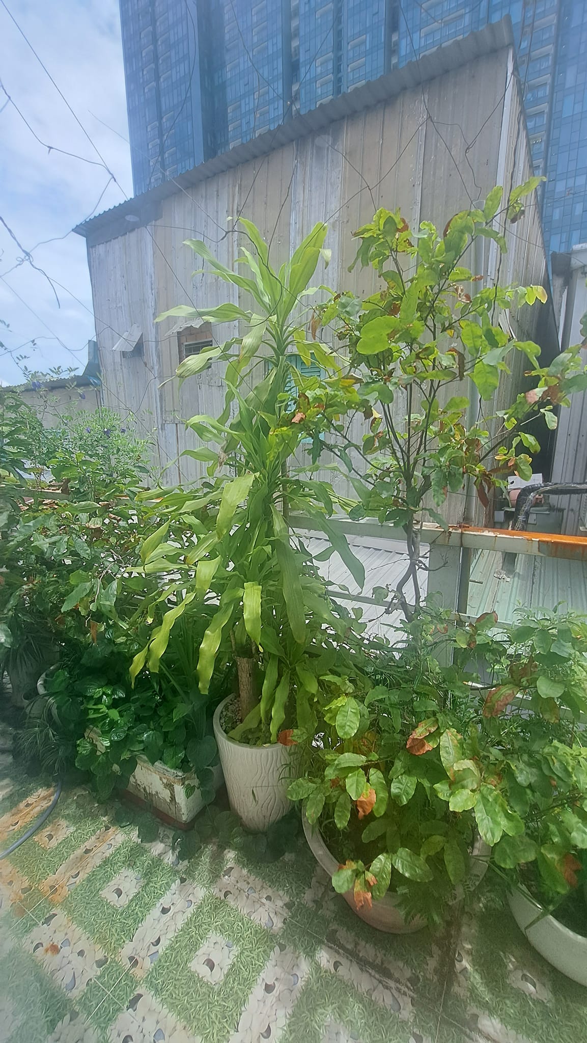 BÁN NHÀ GẦN VINCOM NAM LONG , NGANG 4M , NHỈNH 5 TỶ.