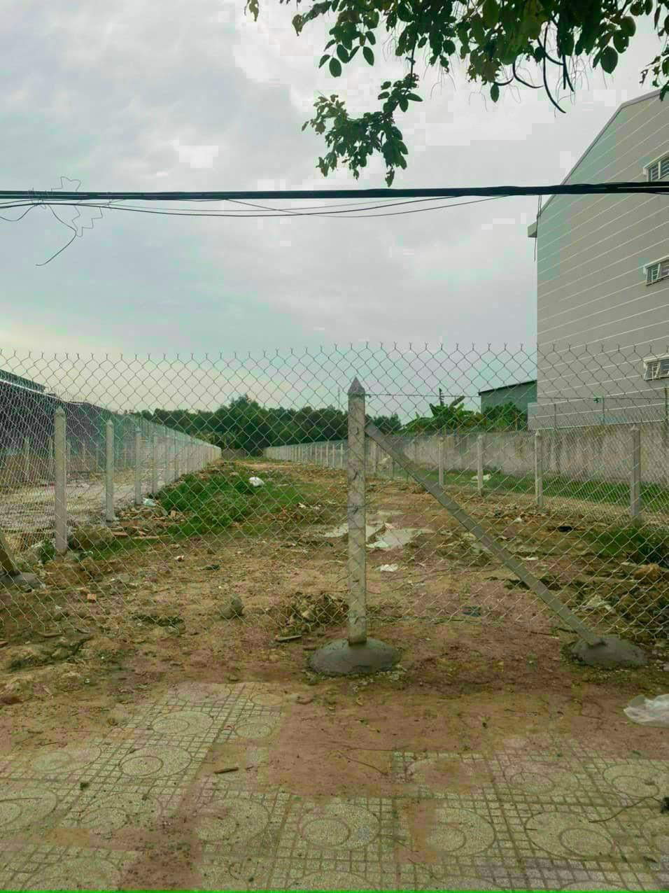 Bán 893m2 đất đường Cách Mạng Tháng Tám, ngay chợ Búng, Thuộc P. An Thạnh, TP. Thuận An, giá 25tr/m2.