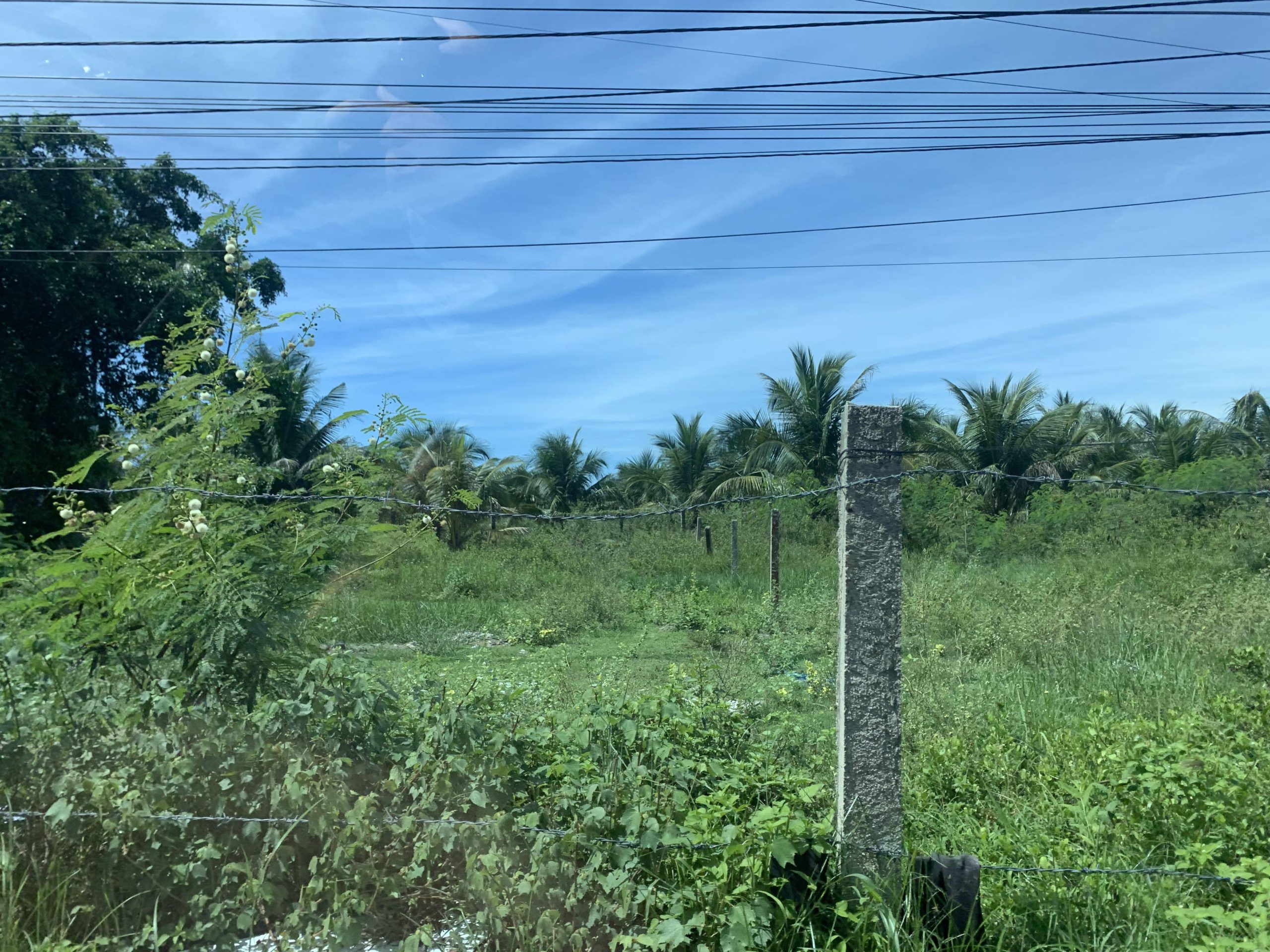 NINH MÃ, VẠN THỌ 1140M2 MT25 GIÁ 6.05 TỶ.