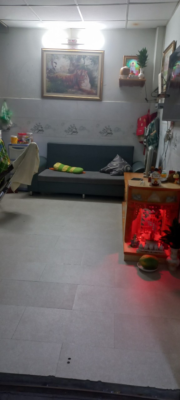 Chính Chủ Bán nhà Sổ hồng chung Hẻm 2385 Phạm Thế Hiển,P.6,Q.8.