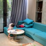  50m2 - 1