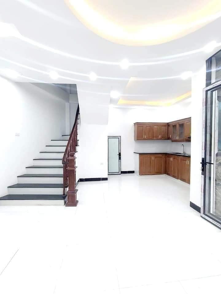 Bán nhà Tam Trinh 38 m2 chỉ nhỉnh 4 tỷ, vừa ở vừa cho thuê.