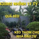  430m2 - 4