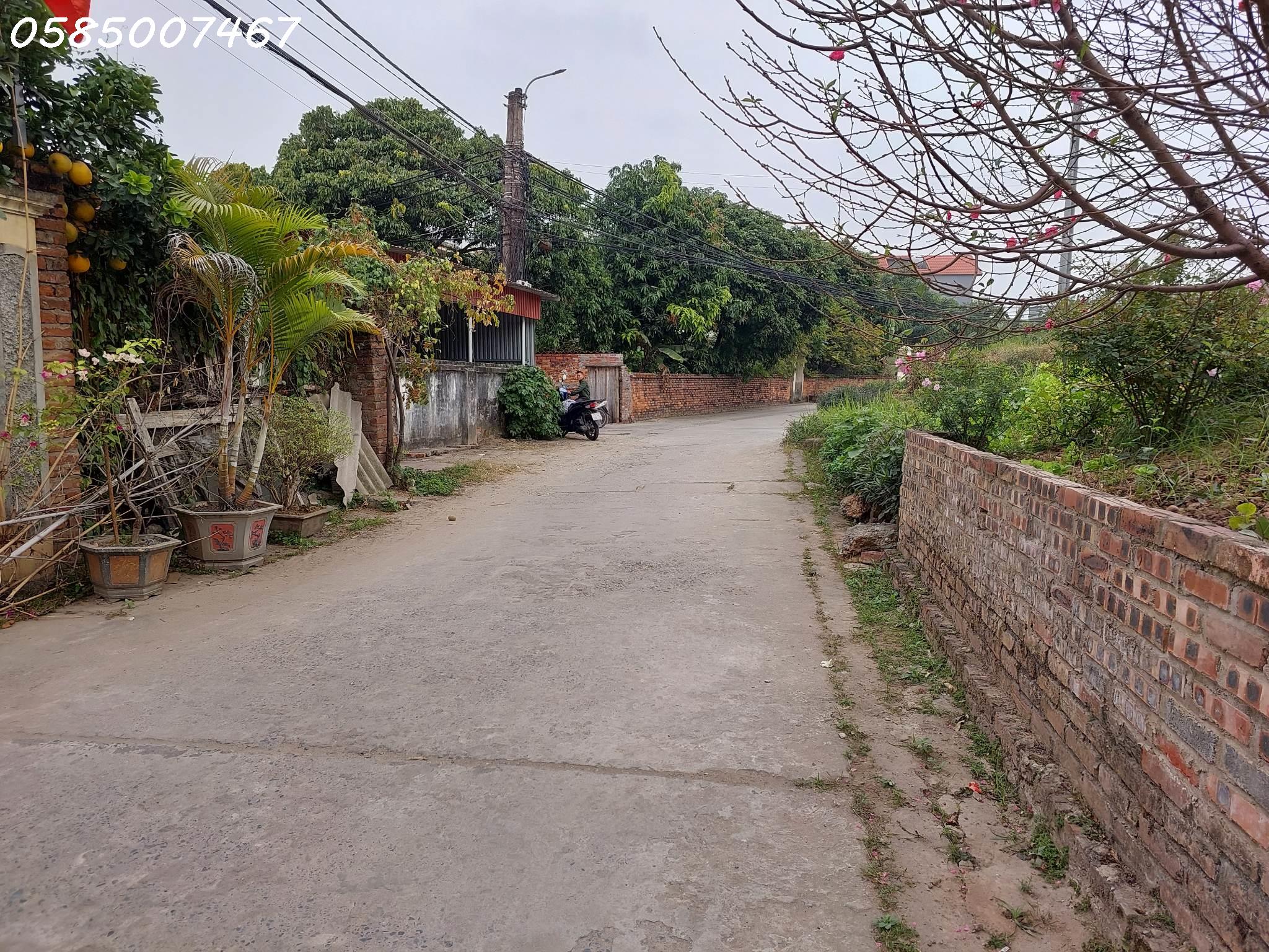 BÁN ĐẤT SÁT ĐÊ SÔNG HỒNG THANH BÌNH. ĐẤT VUÔNG ĐẸP NHƯ TRANH. Ô TÔ 3 TRÁNH NHAU CHẠY VÒNG QUANH.