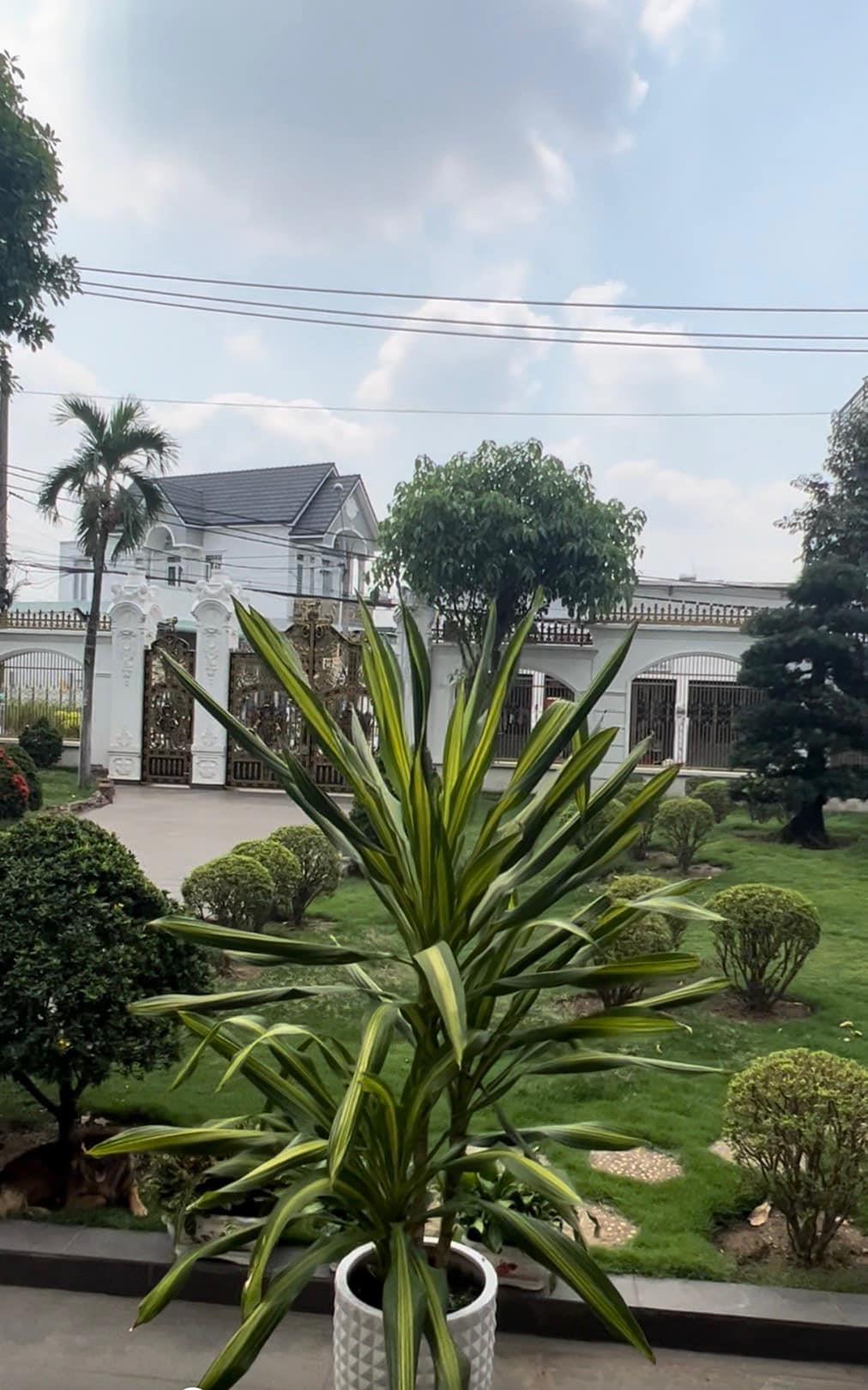 Bán Siêu biệt thự thị trấn Hocmon 1500m thổ cư, mt xe Cont, nhỉnh 30tr.m.