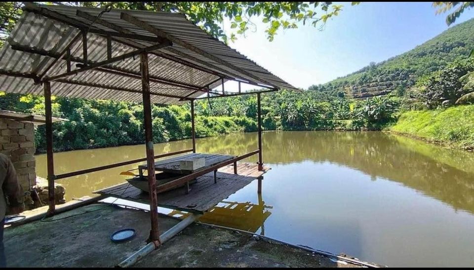 Chính chủ bán ĐẤT TRANG TRẠI cực đẹp tại Tp Cẩm Phả, Quảng Ninh đường chính QL18.