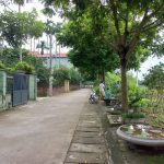  50m2 - 7