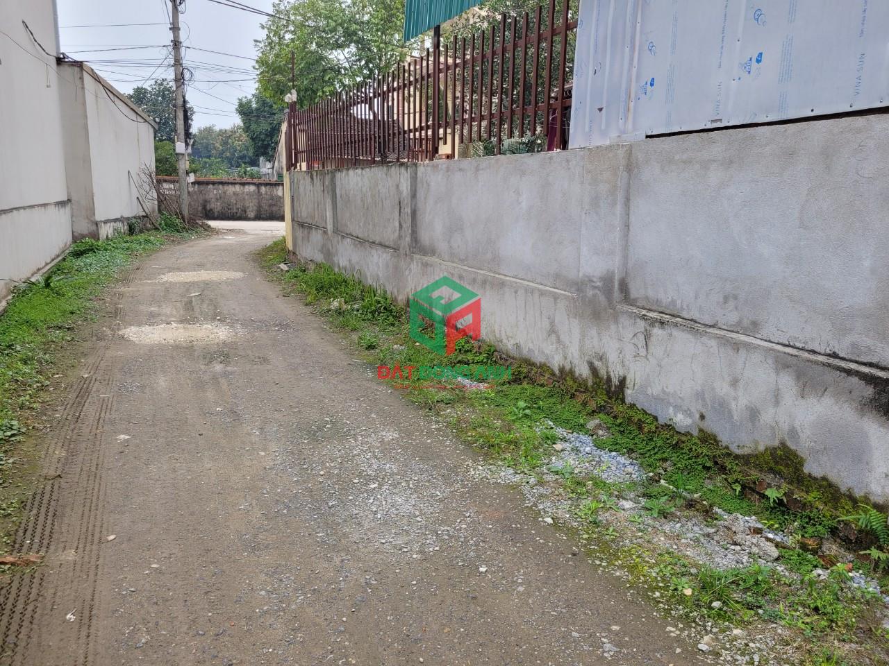 Thanh khoản 58m2 đất thôn Đồng, Nguyên Khê, Đông Anh - Đường thông Ô tô vào tận đất - nhỉnh tỷ 8.