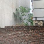  45m2 - 4