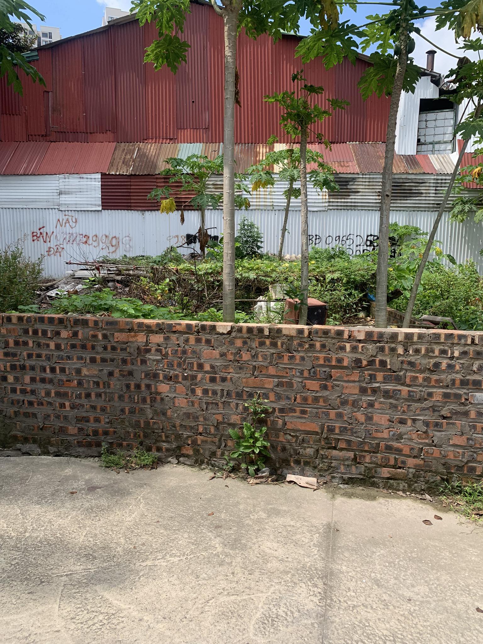 Bán nhanh 45m2 đất Trâu Quỳ đường oto thông giá 2.x tỷ.