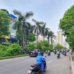  49m2 - 1