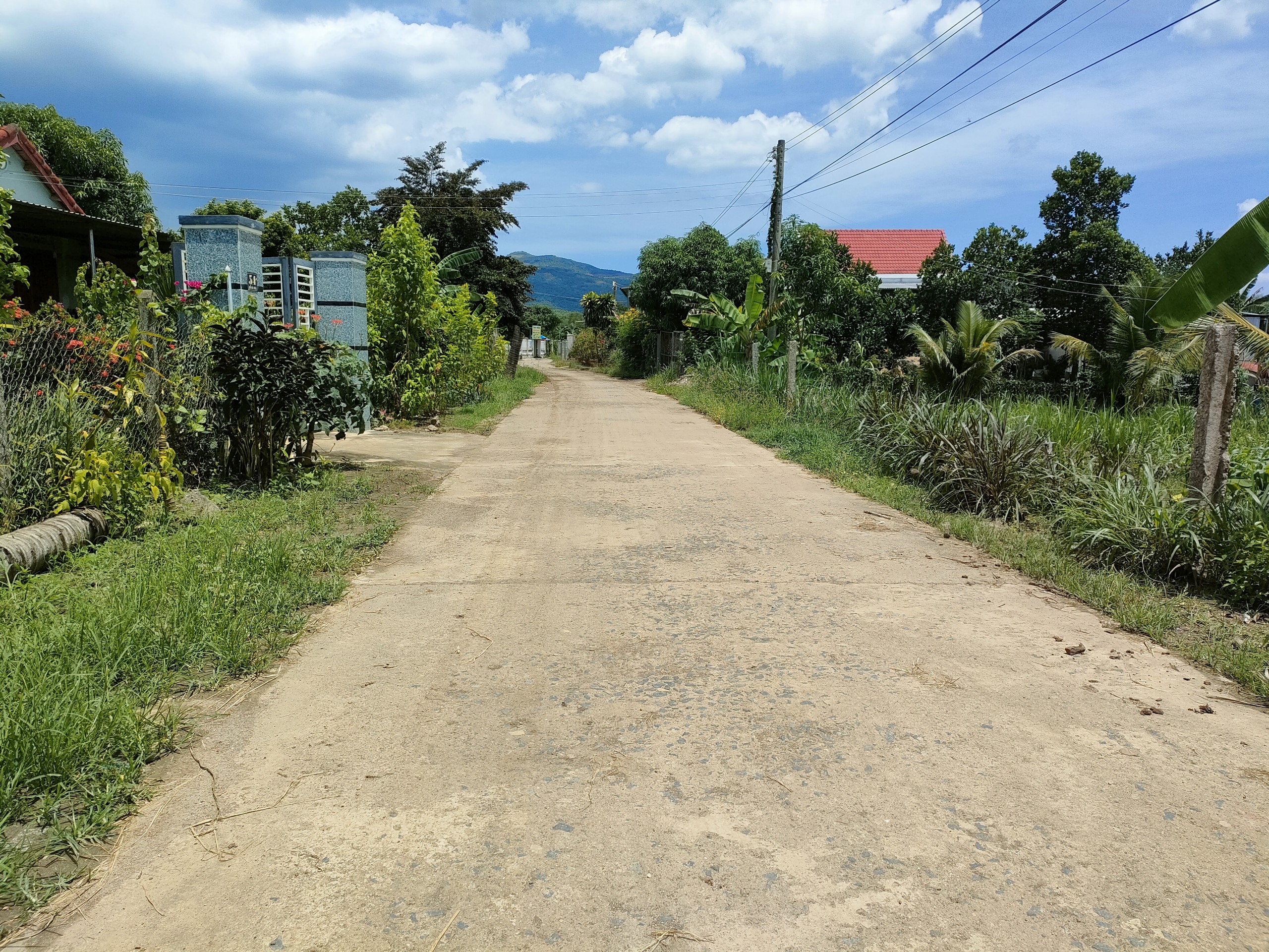 Bán đất Diên Lâm giá rẻ có thổ cư làm nhà vườn.