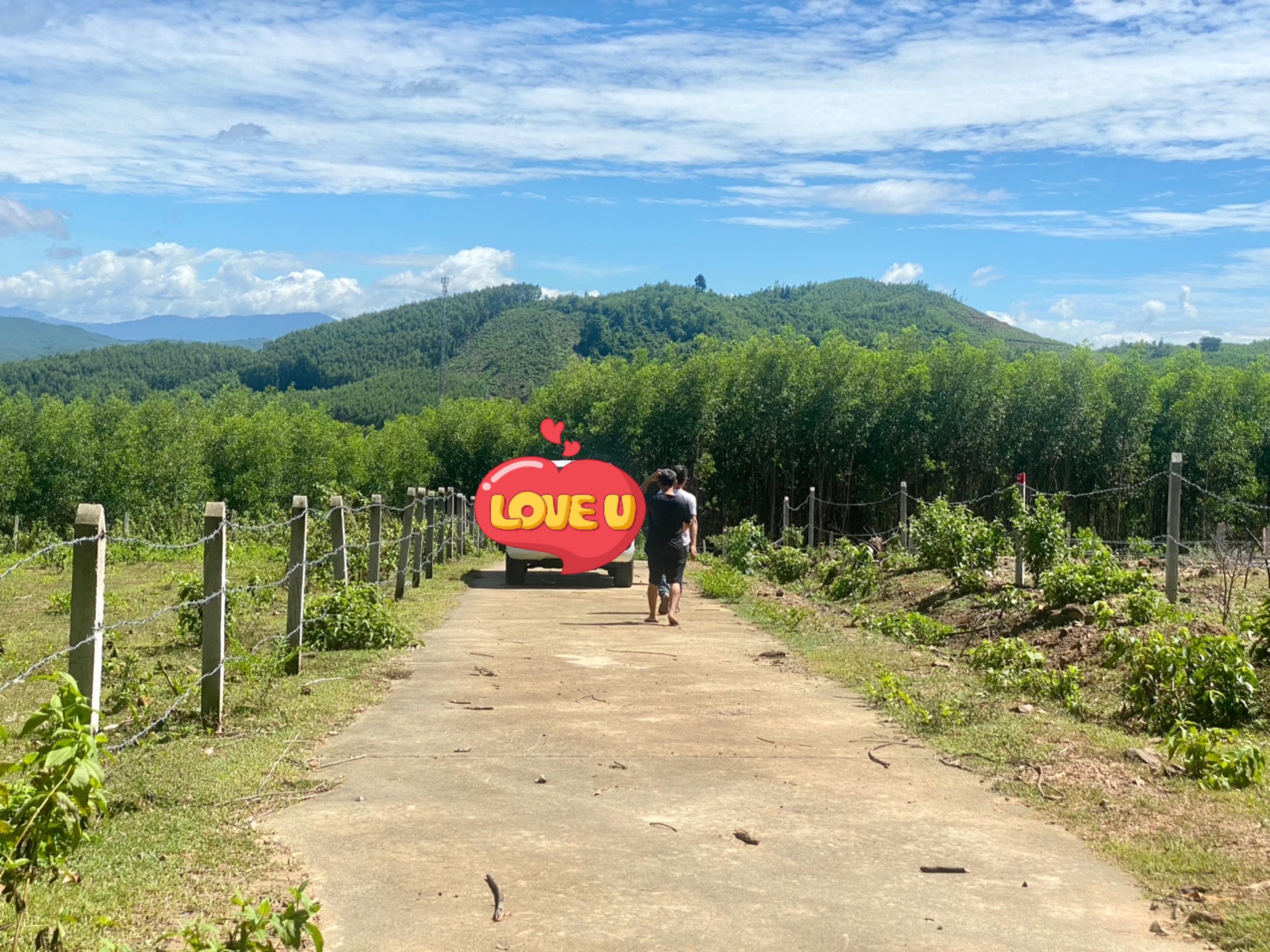 Bán đất Khánh Phú giá rẻ sát bên Hương Lộ 62..