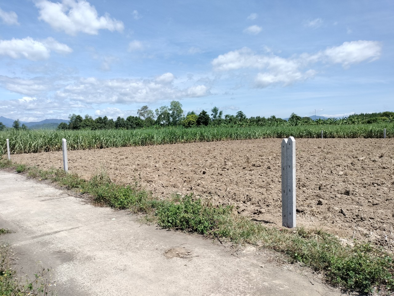 Bán đất Diên Đồng giá rẻ làm vườn gần sông Chò.