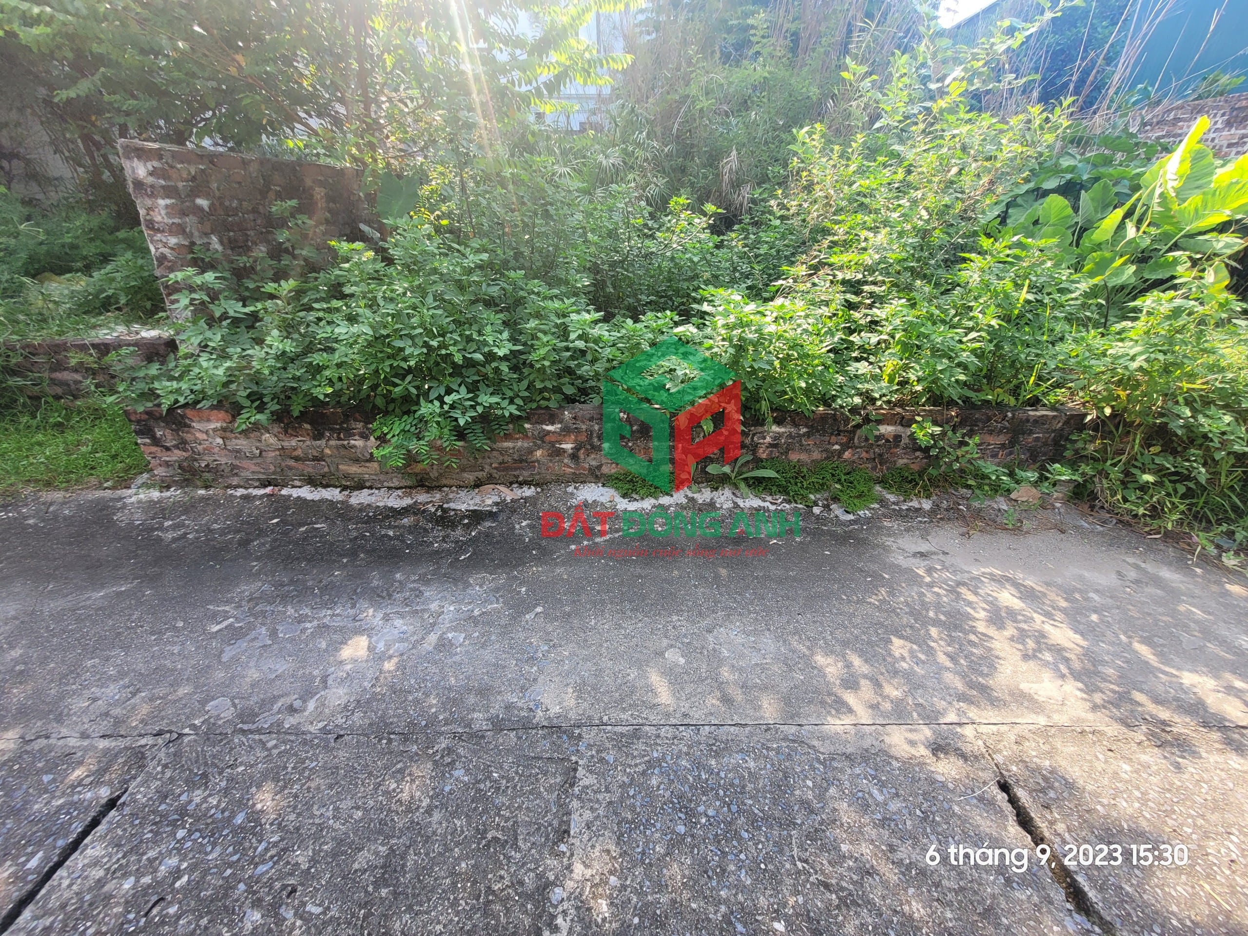 Bán 66m2 Phan Xá Uy Nỗ - đường thông ô tô - 4x.