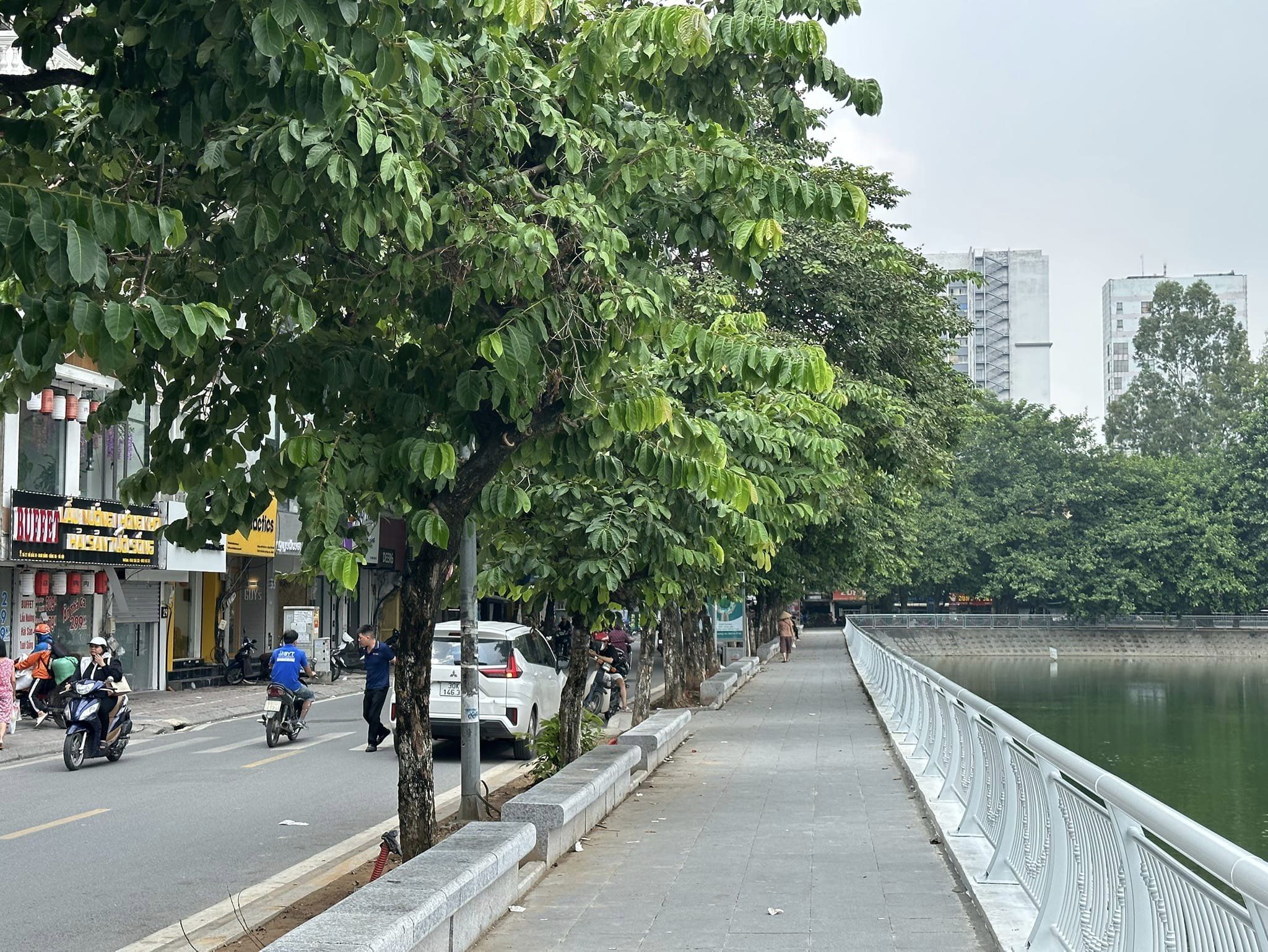 Tòa Nhà Mặt Phố Vip Hồ Đắc Di_View Hồ THơ Mộng_7 Tầng Thang Máy_Nội Thất Khủng_Đầu Tư Tốt