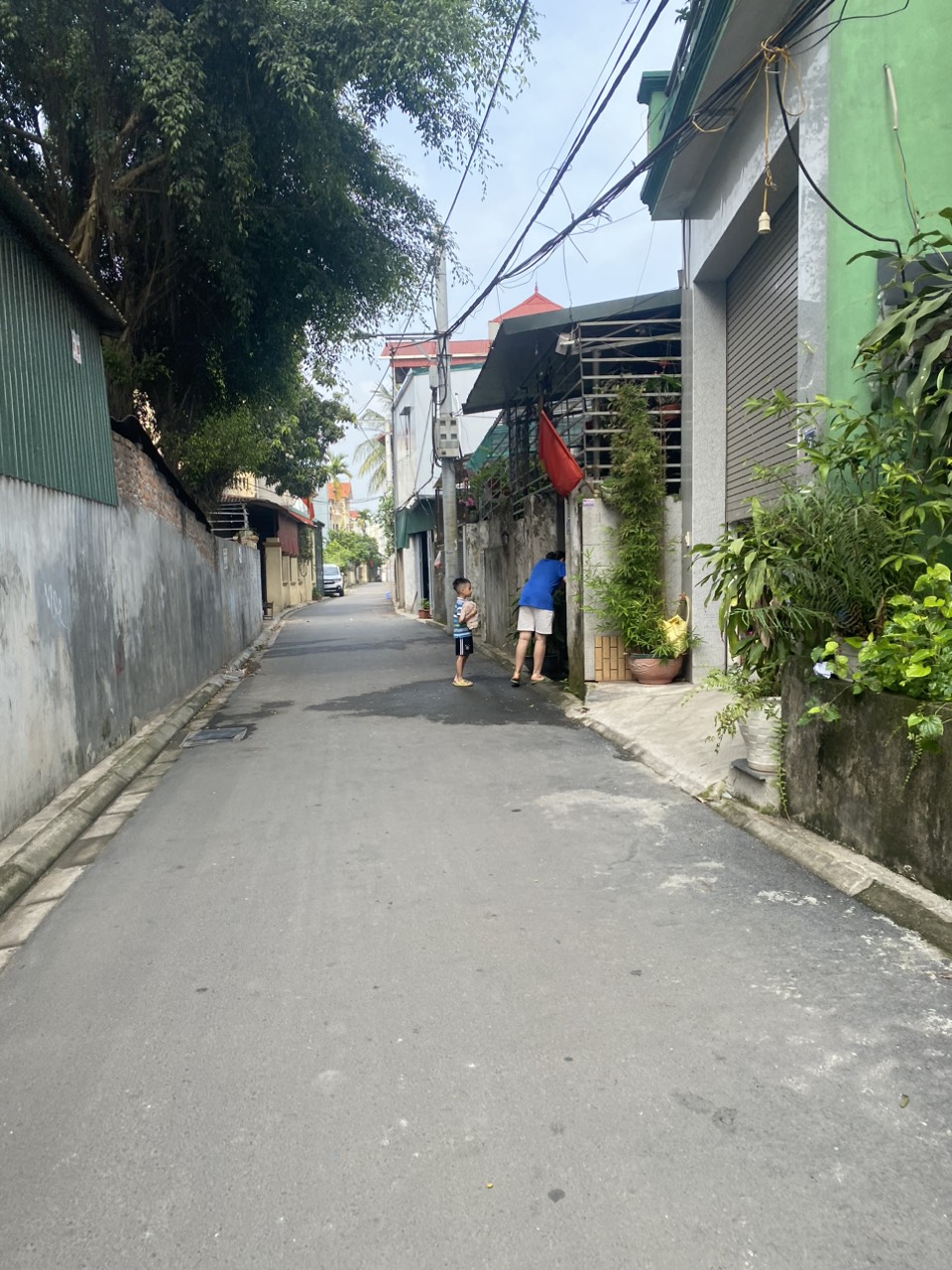 65m2
