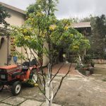  8600m2 - 3