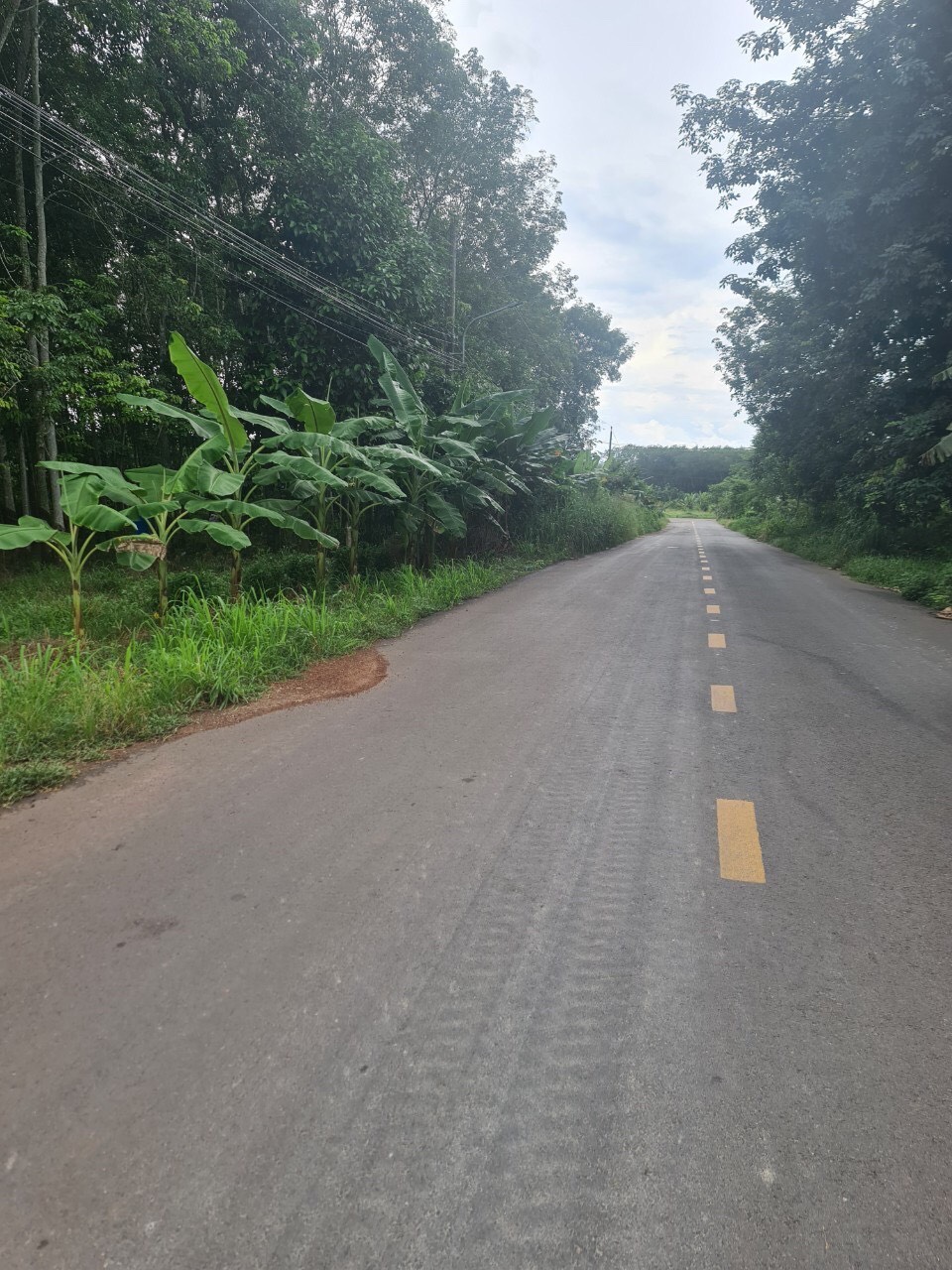 *CHÍNH CHỦ CẦN BÁN ĐẤT XÃ AN BÌNH HUYỆN PHÚ GIÁO TỈNH BÌNH DƯƠNG *.