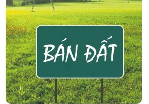 Bán Đất Chính Chủ ấp Suối Lúp, xã Bình Ba, huyện Châu Đức, Bà Rịa Vũng Tàu.