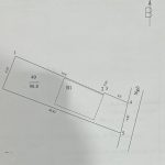 99m2