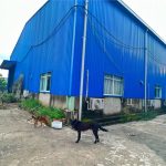  5000m2 - 1