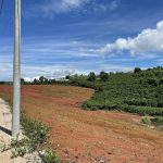 17000m2 - 5