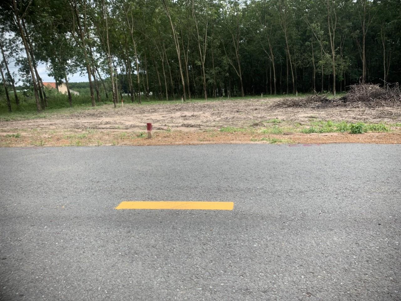 216m2