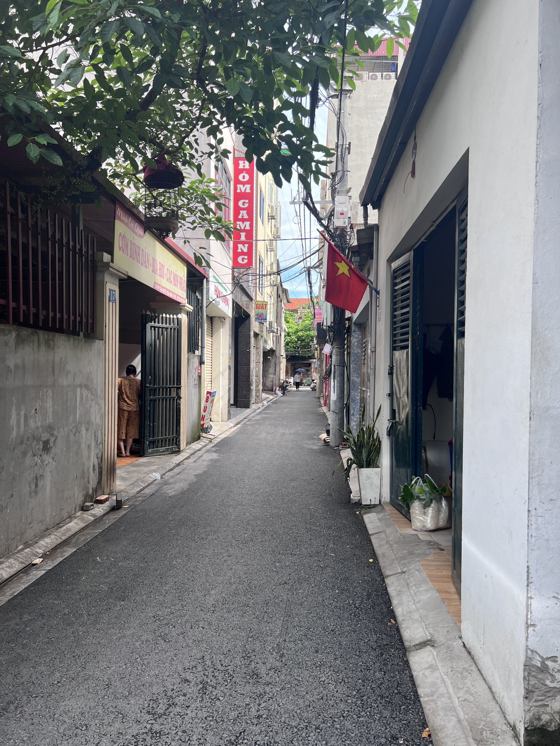 Bán 55m Ngô Xuân Quảng Trâu Quỳ Gia Lâm. đường nhựa oto giá 56tr/m.