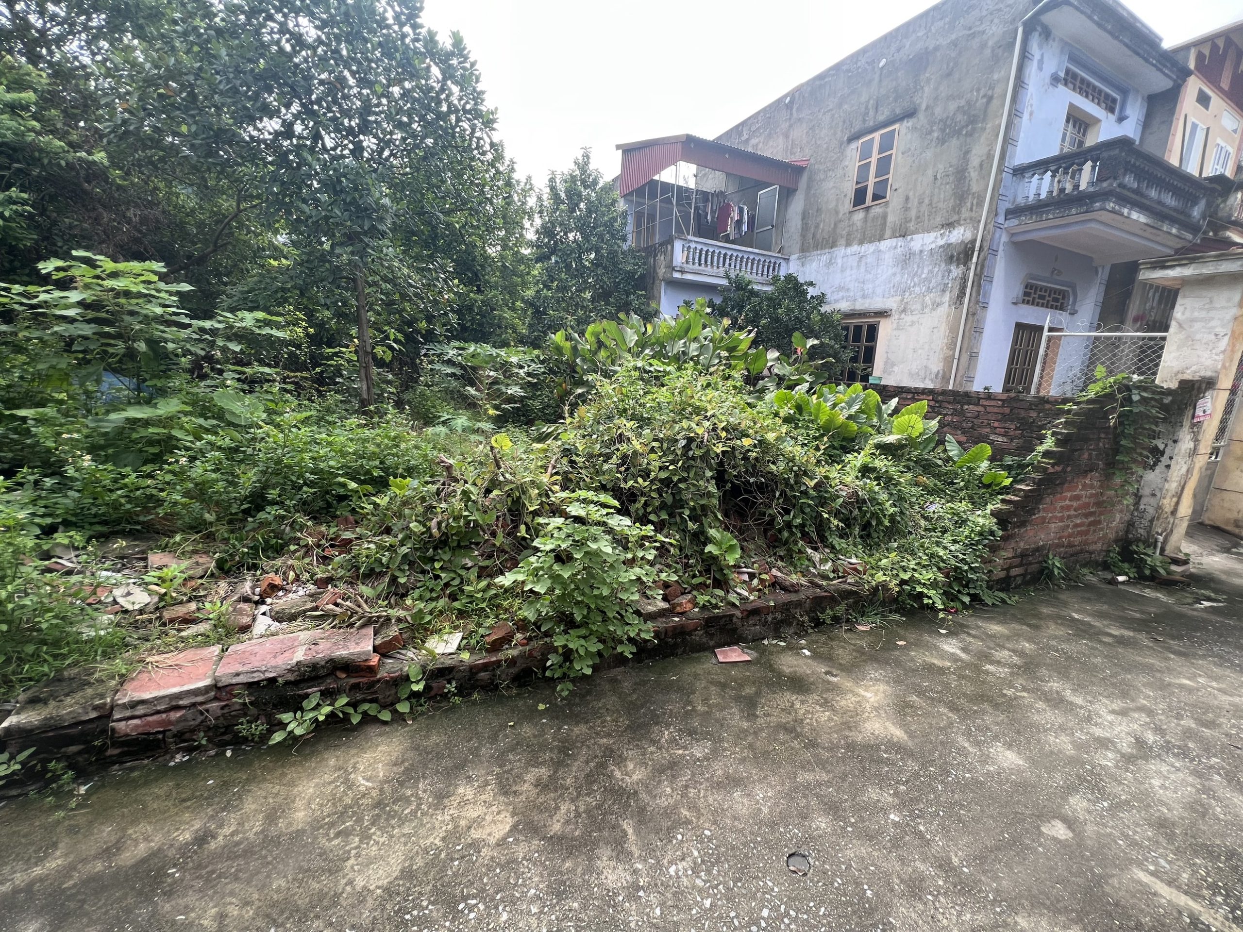 62m Đa Tốn Gia Lâm, đường thông xe 7 chỗ, Lô góc. gía 3.1 tỷ.