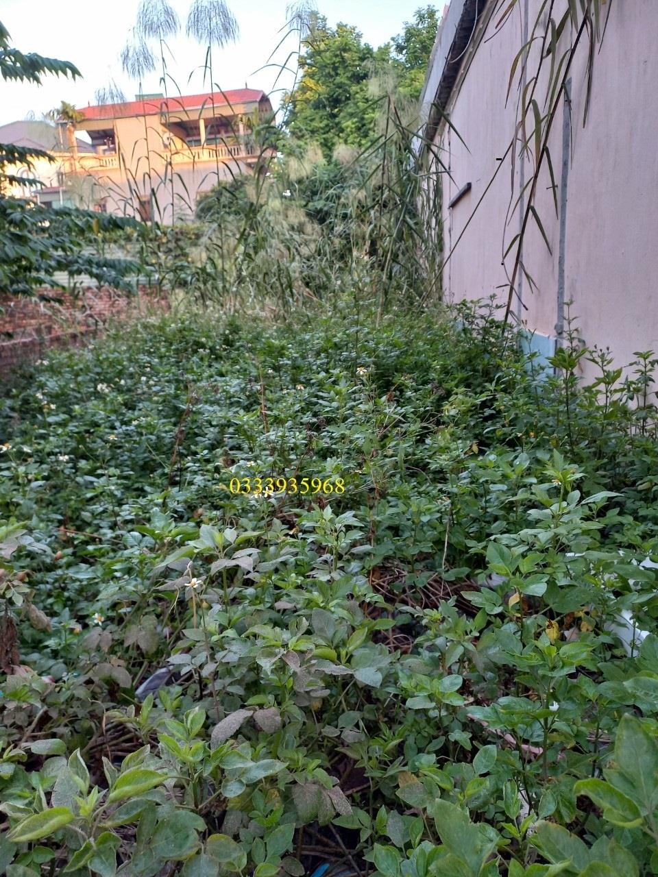 CỰC PHẨM NGÕ 272 CỔ BI GIA LÂM 51M2 3 TỶ ĐƯỜNG OTO TRÁNH, KINH DOANH.