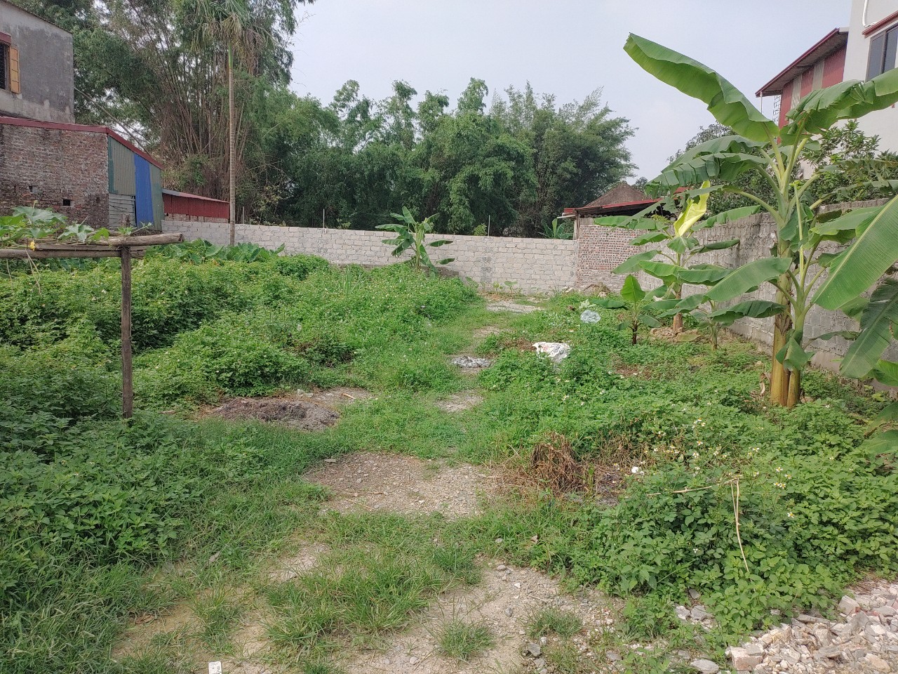 Đất Hoa Đường, Trường Thịnh, Ứng Hòa, 178m2, 2.5 tỷ.