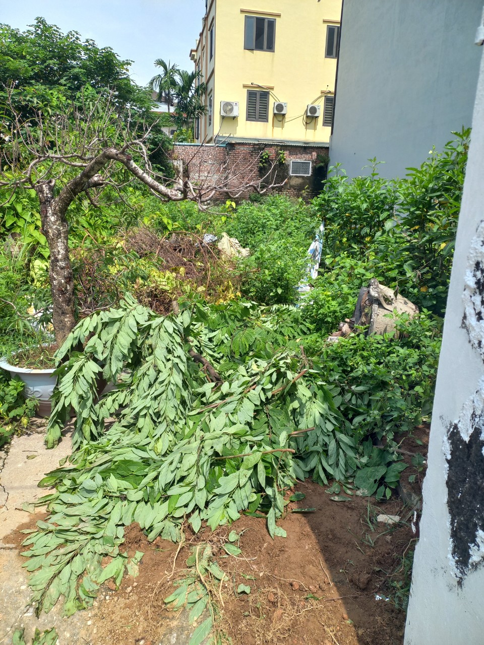 BÁN ĐẤT HIẾM 272 CỔ BI GIA LÂM 50m2 giá 3 tỷ đường oto tránh.