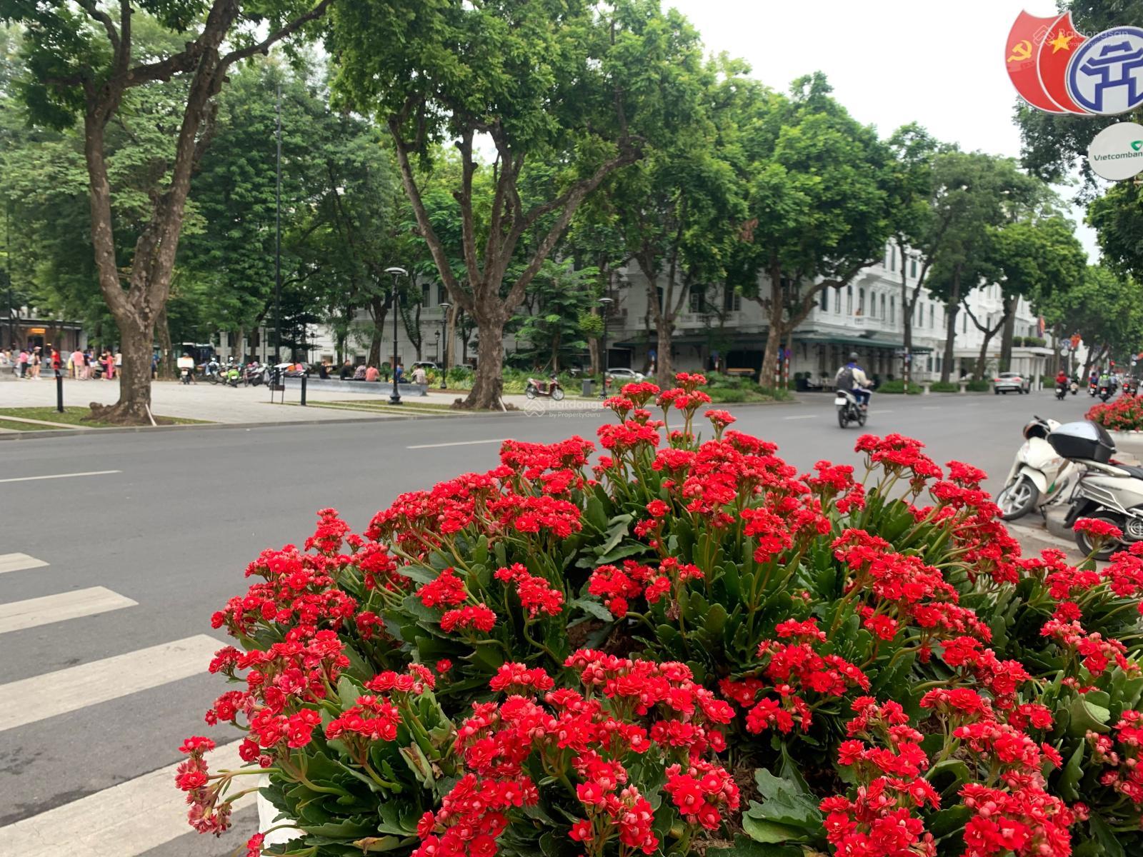 SIÊU HIẾM – 70M TẬP THỂ BỘ TÀI CHÍNH – VIEW 2 MẶT PHỐ - TÔNG ĐẢN & LÊ PHỤNG HIỂU – 6.7 TỶ..