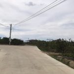  13000m2 - 1