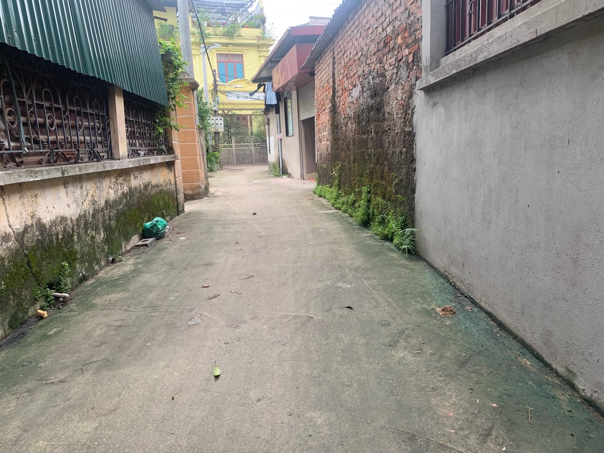 Bán 47m2 đất Sen Hồ,Lệ Chi đường oto thông giá 25tr/m2.