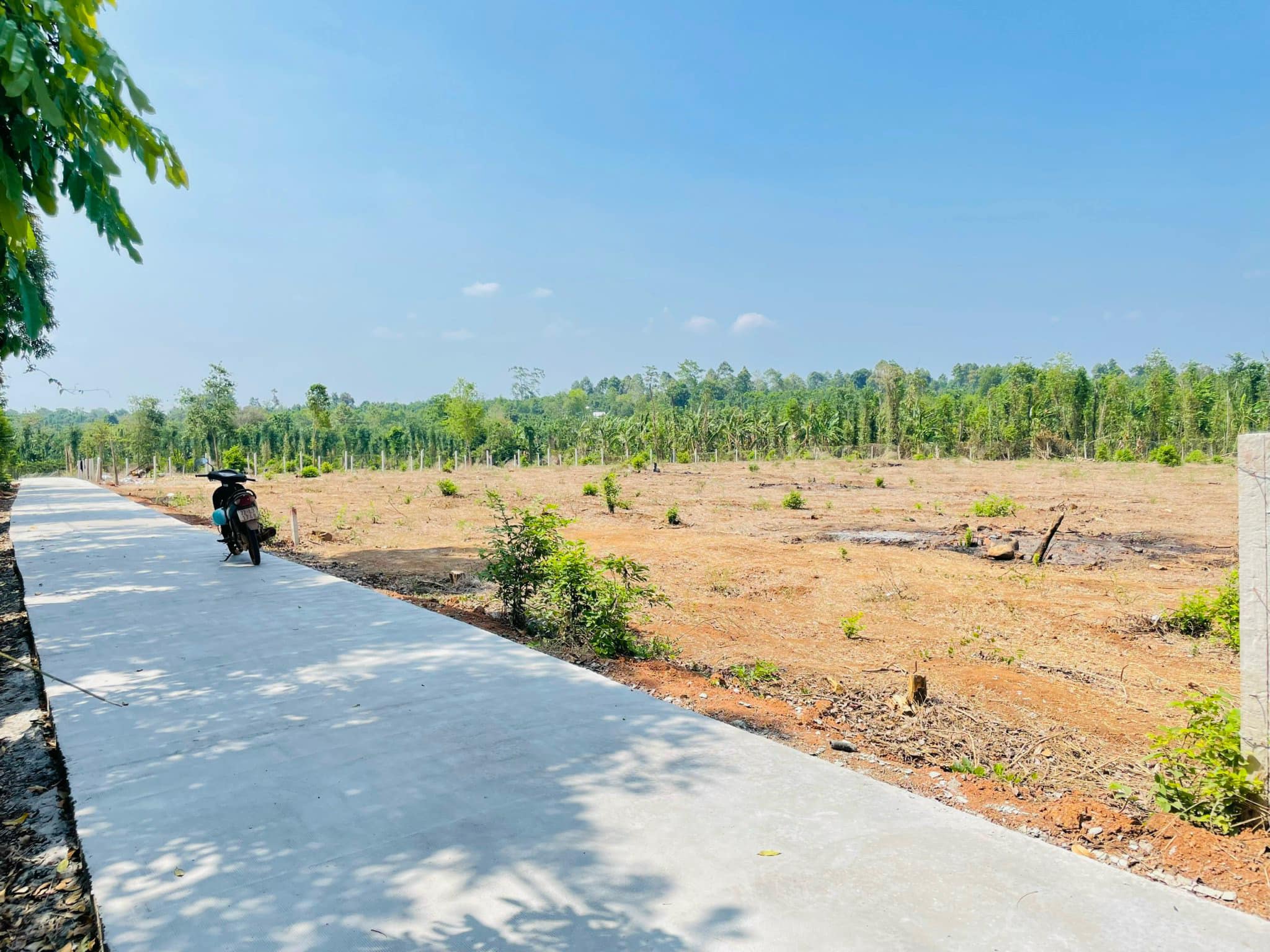 Bán lỗ lô đất đường 6m giá 1,050 tỷ chọn sổ 1000m2, điện nước có sẵn ở Cẩm Mỹ.