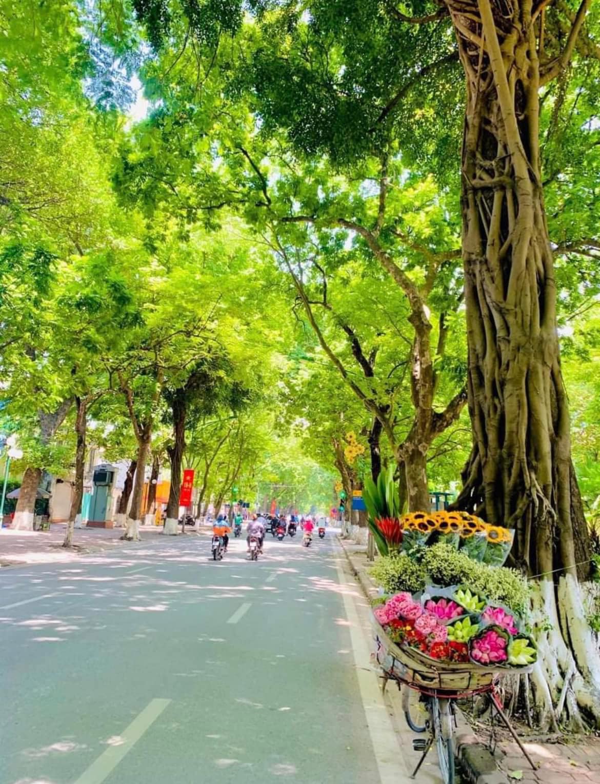 Bán nhà Phan Đình Phùng lô góc siêu thoáng, oto vào nhà. Dt 80m2 x 5t mt 18m giá 37 tỷ