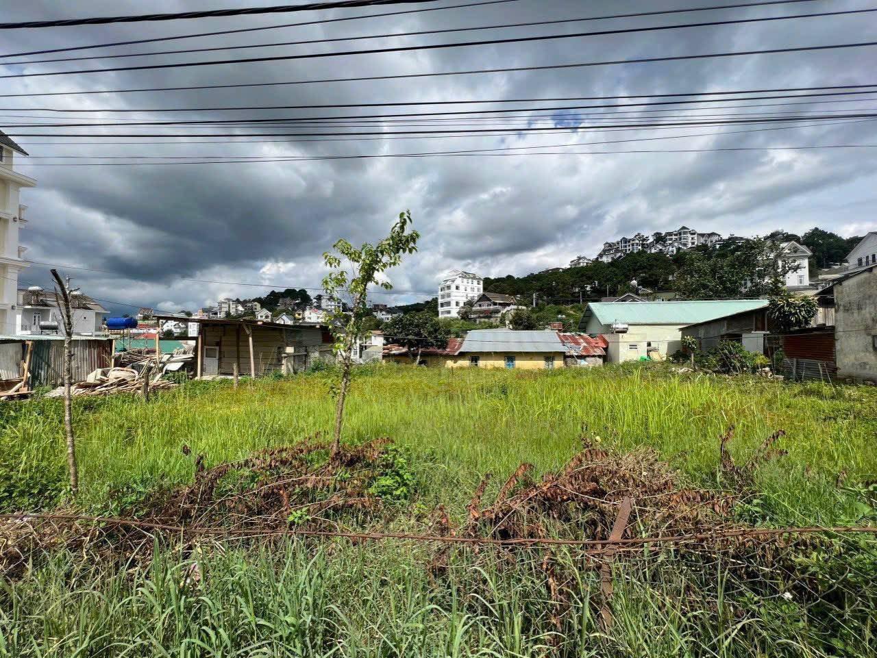 Bán đất mặt tiền Nam Hồ Đà Lạt 481m2 20 tỷ