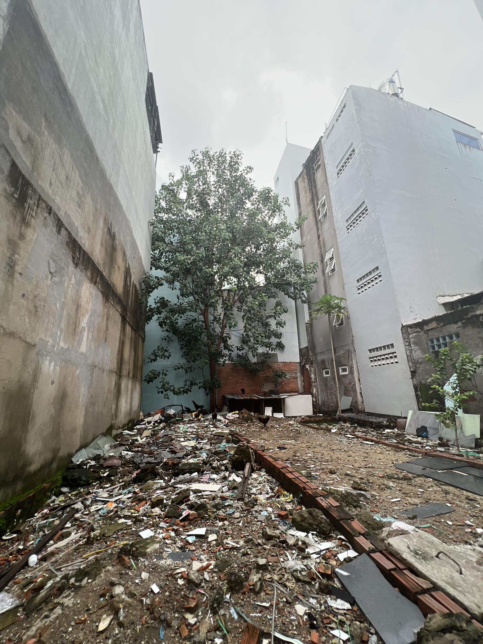 Bán đất giá rẻ gần HXH CMT8, Quận 10, 52m2, chuẩn đét, chỉ 4 tỷ nhỉnh.