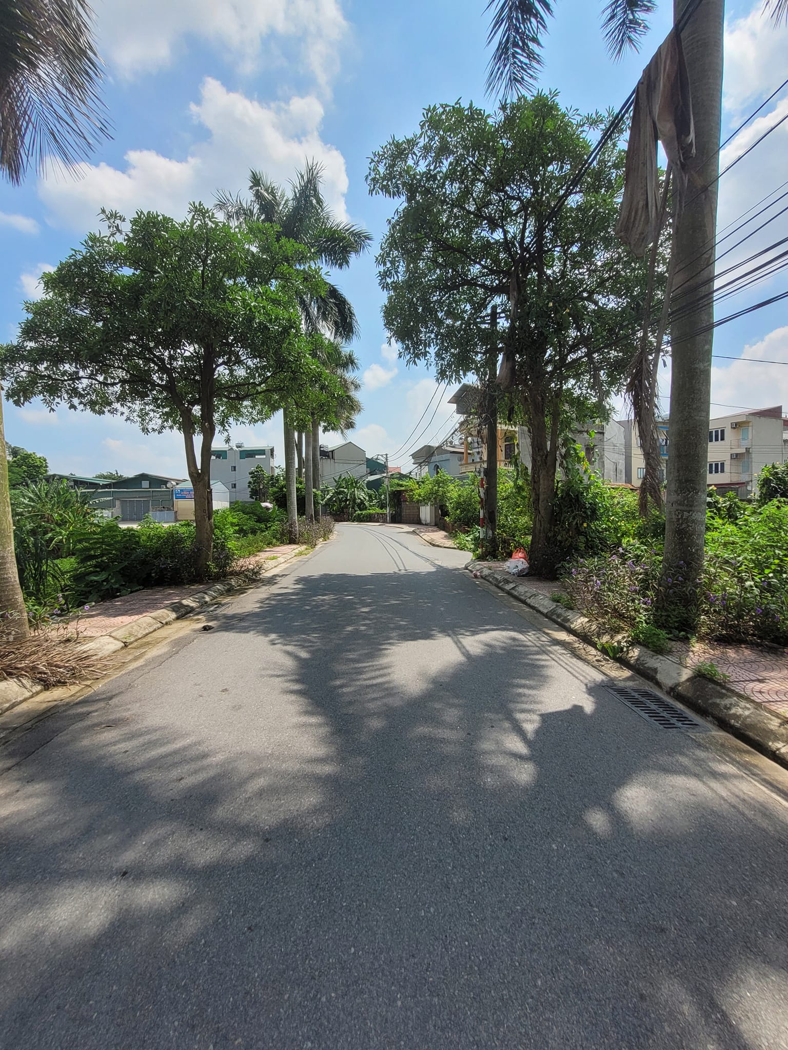 62TR/M2 ĐẤT MẶT ĐƯỜNG THỐNG NHẤT LONG BIÊN-VỈA HÈ-MẶT TIỀN RỘNG-SỔ HOA HẬU.