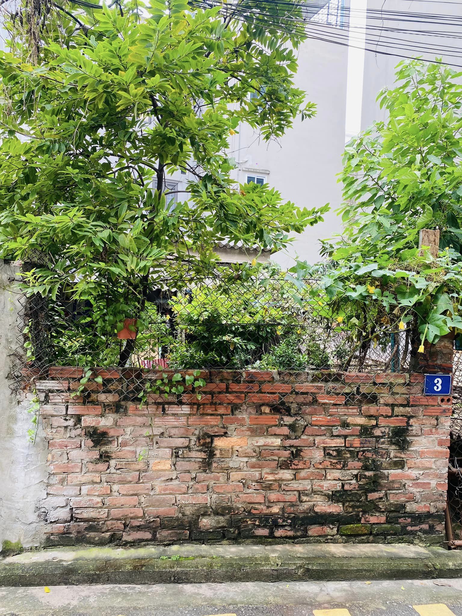 Bán đất ngõ 344 Ngọc Thuỵ, gần Trường Pháp, 54m x 4,5m MT nở hậu, oto tải vào đất giá nhỉnh 3 tỷ thương lượng.