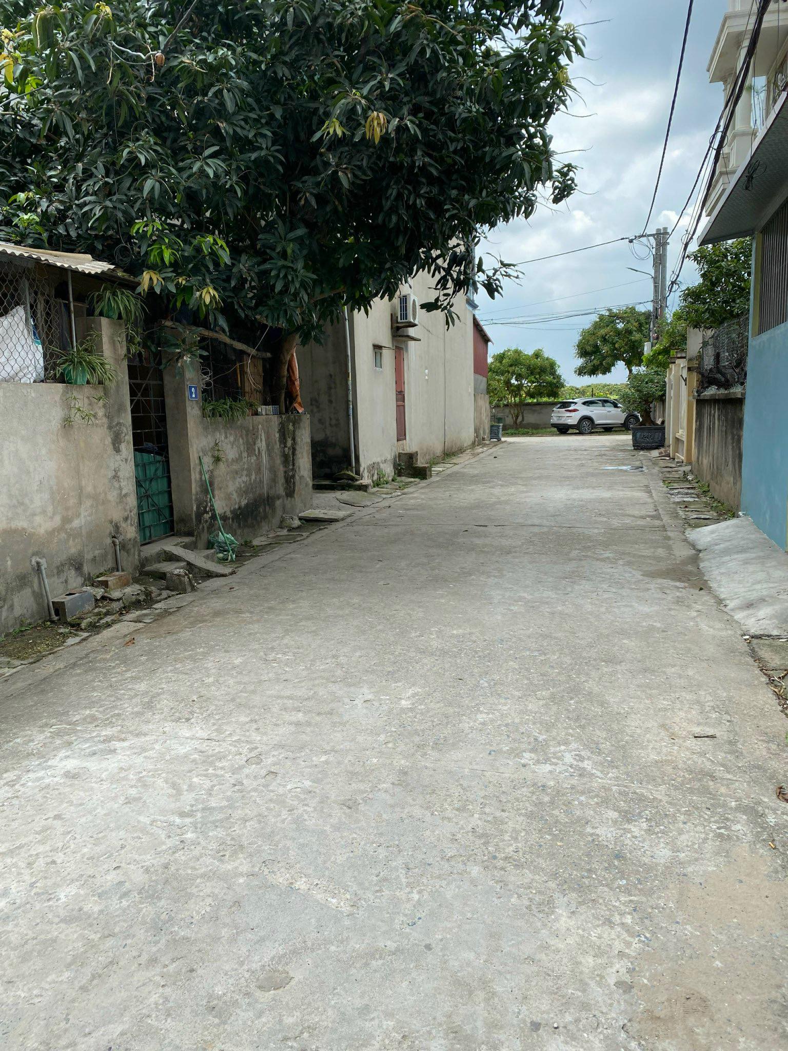 Bán 60m2 đất khu Viện Rau Trâu Quỳ đường oto tránh nhau.