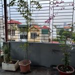  40m2 - 6