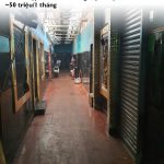  655m2 - 1