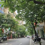  80m2 - 5