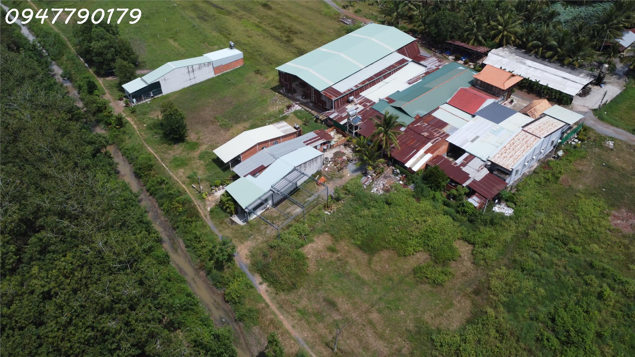 View Núi Tuyệt Vời - Đất Ở Xã Bàu Năng, Huyện Dương Minh Châu, Tây Ninh.