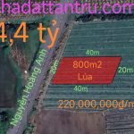  800m2 - 1