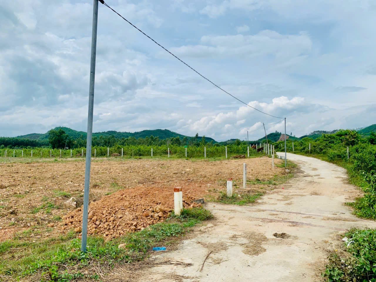 Bán đất làm vườn Diên Tân giá rẻ gần Hương Lộ 62.